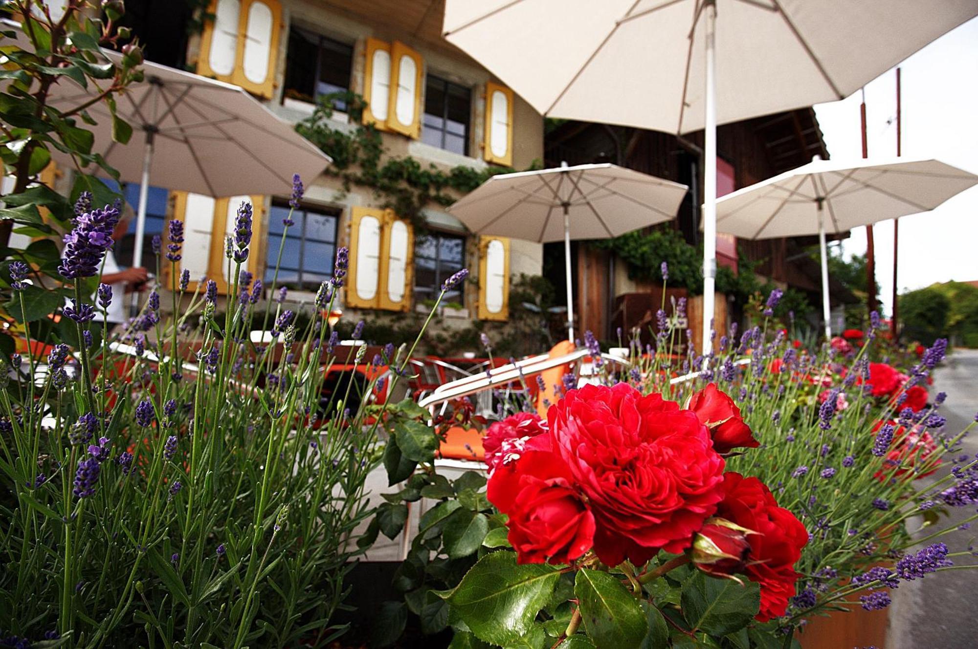 Bnb Belle5 Vully-les-Lacs Exteriör bild